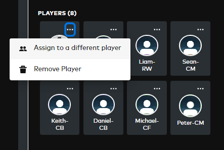 assign_player.png